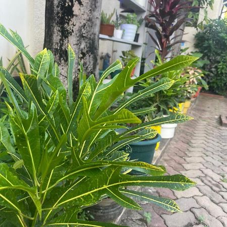 Bed and Breakfast L&J Modern Backpackers Kinondoni Dar es Salaam Zewnętrze zdjęcie